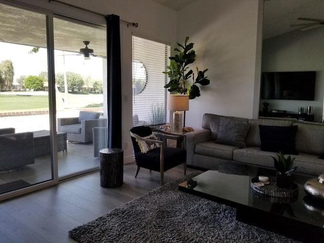 living room featuring ceiling fan and hardwood / wood-style flooring