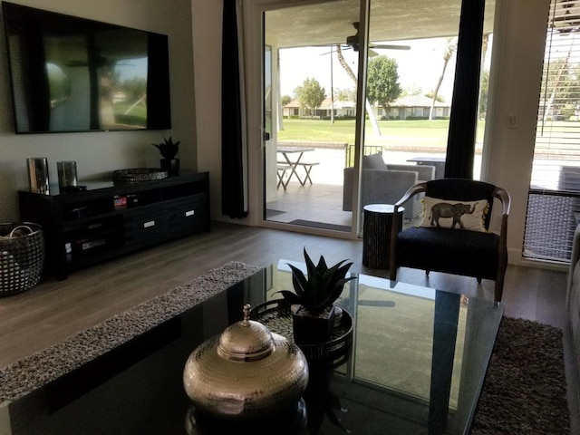 living room with hardwood / wood-style floors