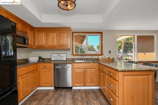 kitchen with appliances with stainless steel finishes, a raised ceiling, sink, and dark hardwood / wood-style floors