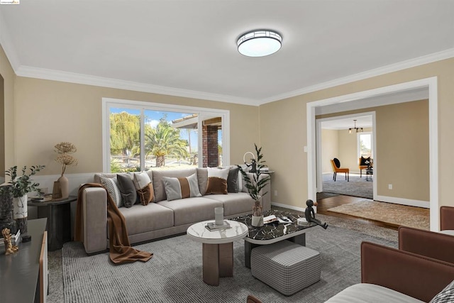 living room featuring crown molding and carpet flooring