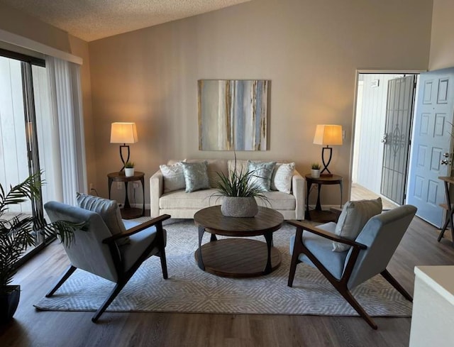 living room featuring lofted ceiling, hardwood / wood-style floors, and a textured ceiling