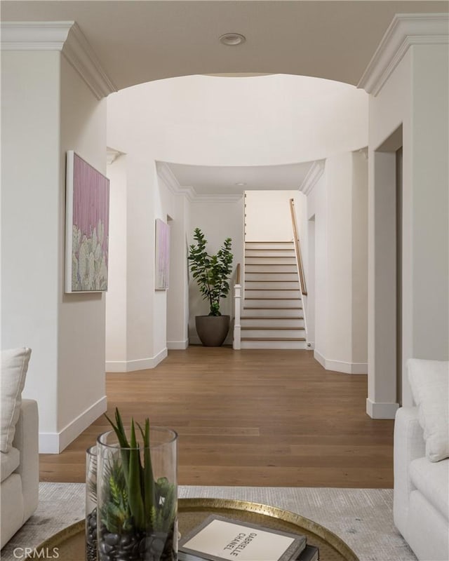 interior space with wood-type flooring and ornamental molding