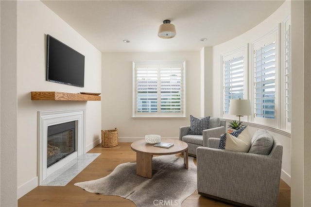 living area with light hardwood / wood-style floors and a wealth of natural light