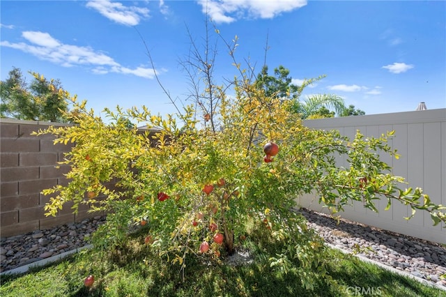 view of yard with fence