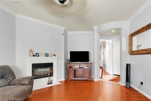 living room with crown molding and hardwood / wood-style floors