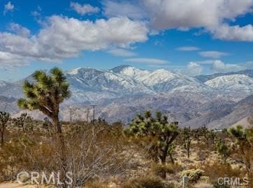 0 Melton, Joshua Tree CA, 92252 land for sale