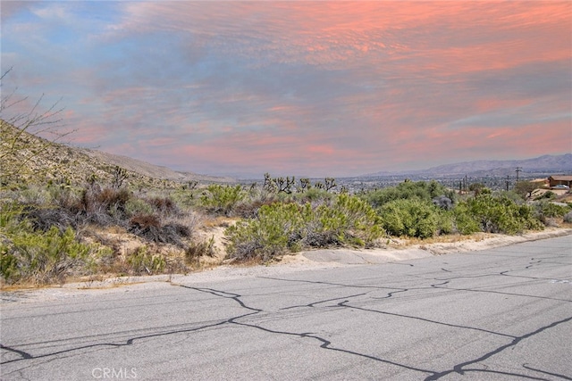 54129 Pinon Dr, Yucca Valley CA, 92284 land for sale