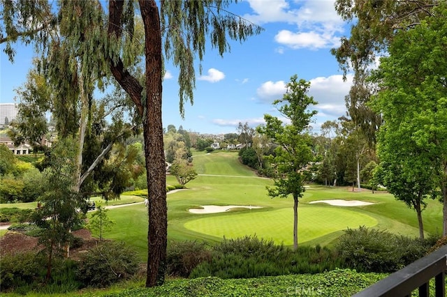 view of community with a lawn