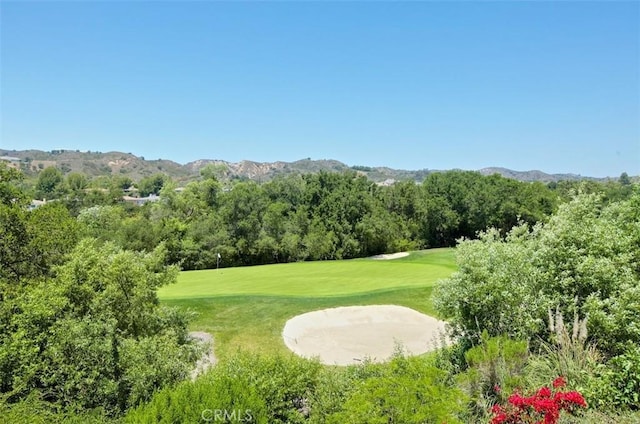 view of property's community with a mountain view and a yard