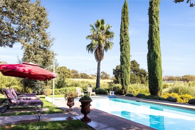 view of pool featuring a patio