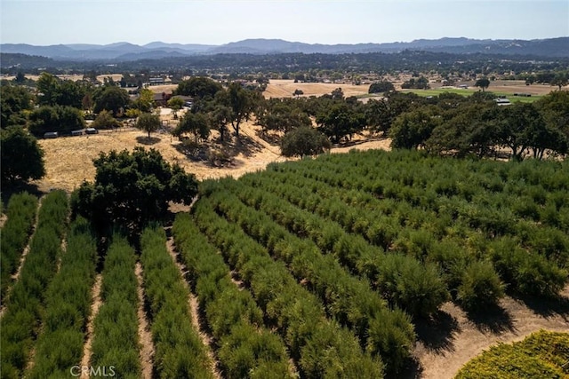 drone / aerial view with a mountain view and a rural view