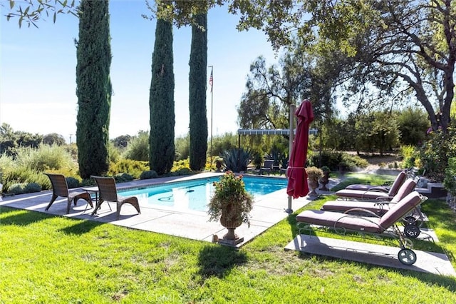 view of swimming pool with a patio area and a lawn