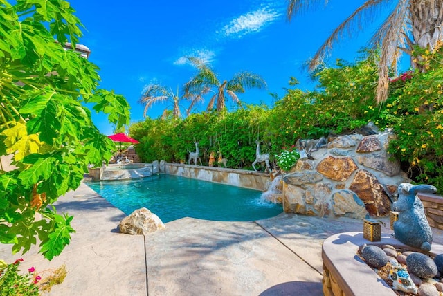 view of pool with a patio area and pool water feature