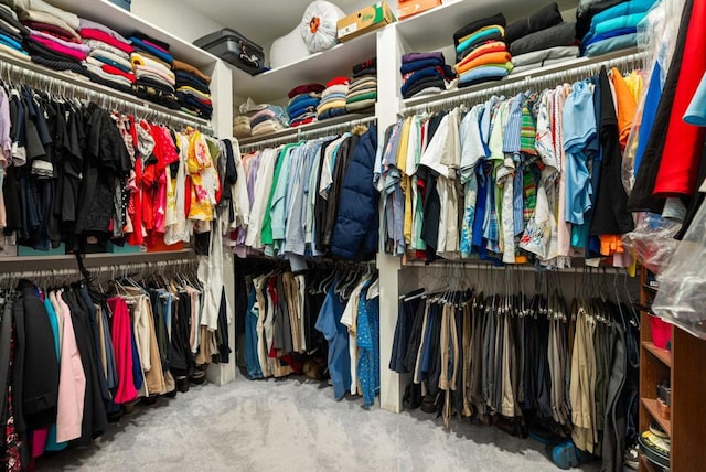 walk in closet featuring carpet floors