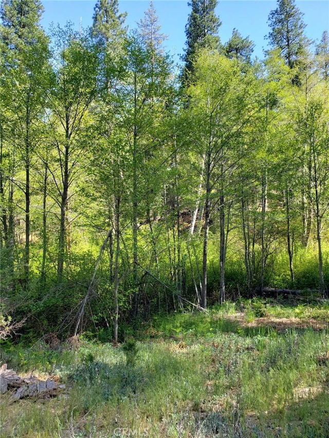 29531 Little Bear Creek Rd, Cedar Glen, CA 92321