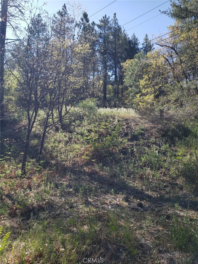 29531 Little Bear Creek Rd, Cedar Glen, CA 92321