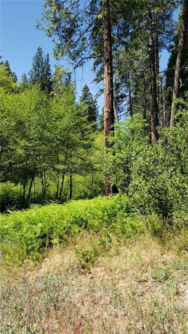 29531 Little Bear Creek Rd, Cedar Glen CA, 92321 land for sale