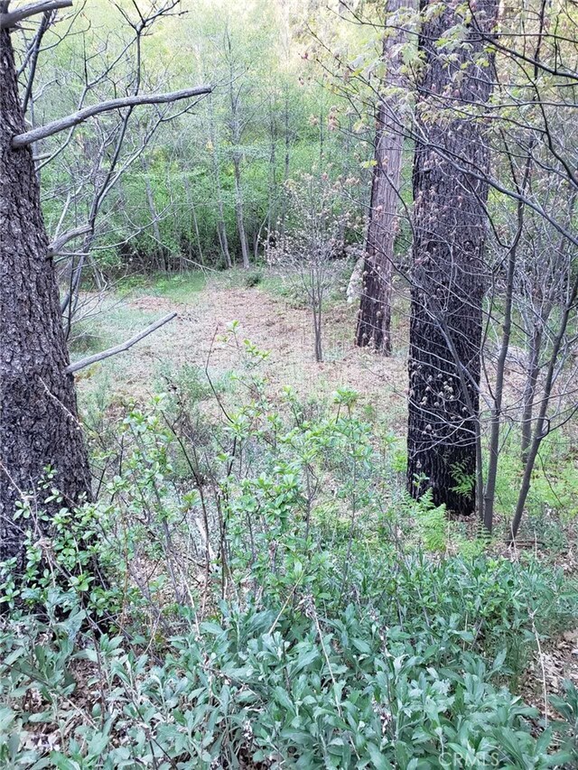 29531 Little Bear Creek Rd, Cedar Glen, CA 92321