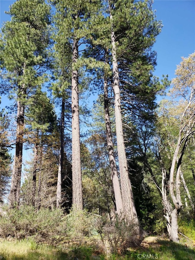 29531 Little Bear Creek Rd, Cedar Glen, CA 92321