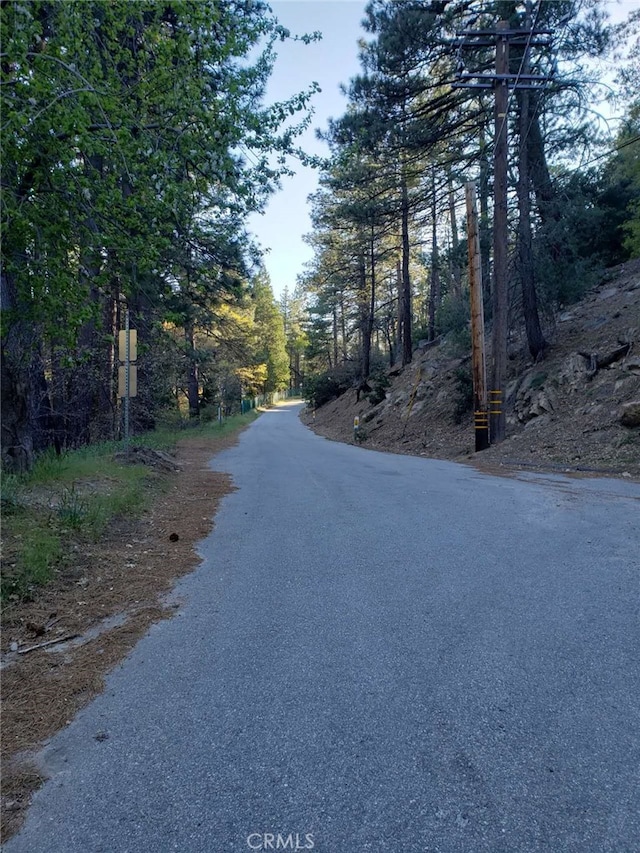 29531 Little Bear Creek Rd, Cedar Glen, CA 92321