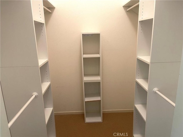 spacious closet featuring carpet flooring