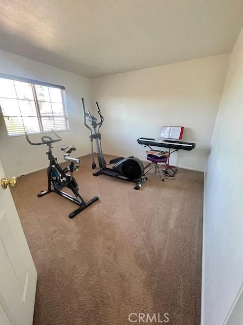 exercise room with carpet