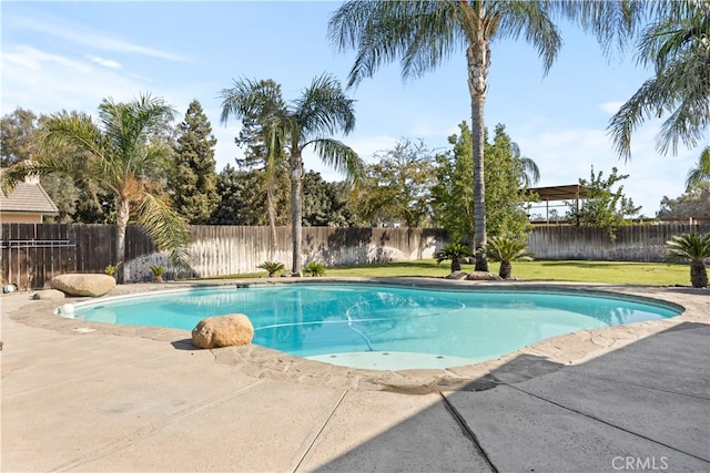 view of swimming pool with a lawn and a patio area