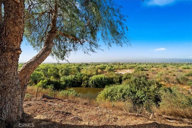 view of nature with a rural view and a water view