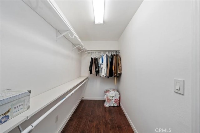 spacious closet featuring dark wood-type flooring