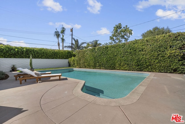 view of swimming pool featuring a patio