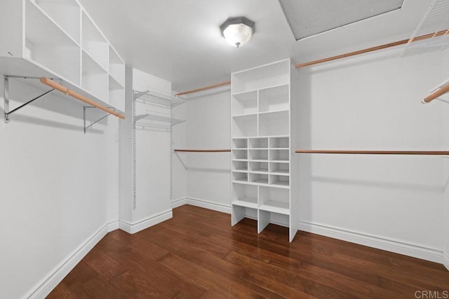 walk in closet featuring dark hardwood / wood-style flooring