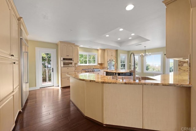 kitchen with stainless steel appliances, a raised ceiling, dark hardwood / wood-style floors, and plenty of natural light