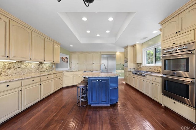 kitchen with a breakfast bar area, stainless steel appliances, dark hardwood / wood-style flooring, a tray ceiling, and a center island with sink