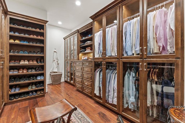 spacious closet with hardwood / wood-style floors