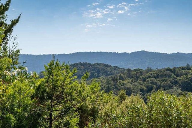 view of mountain feature