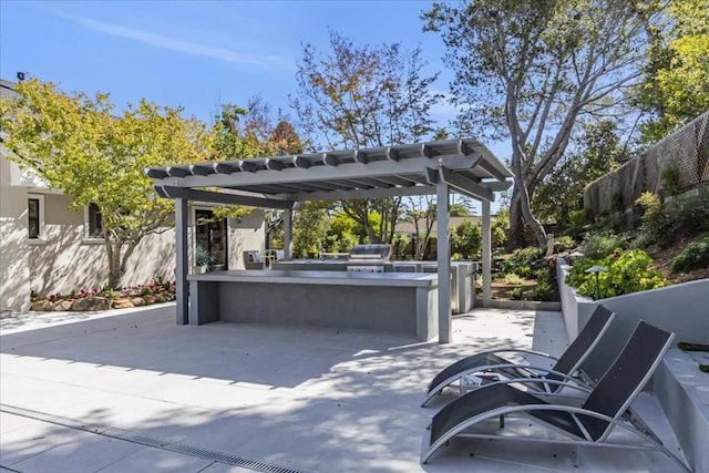 view of patio featuring an outdoor kitchen and grilling area