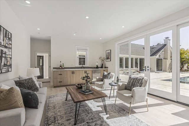 living room featuring french doors, light hardwood / wood-style flooring, and sink