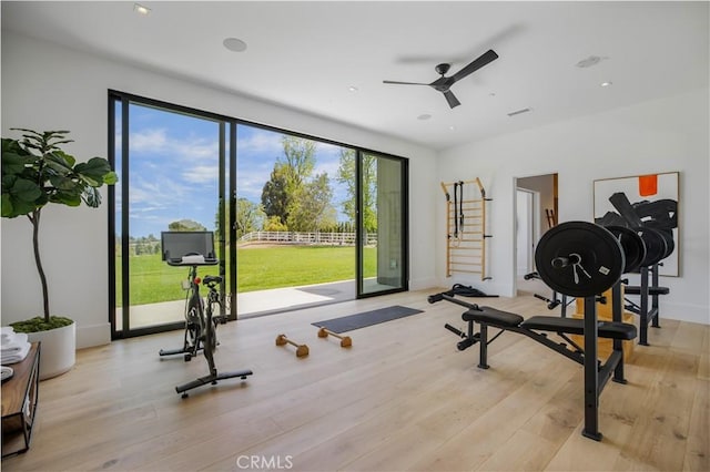 workout room with ceiling fan and light hardwood / wood-style flooring