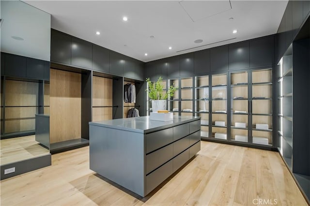 spacious closet featuring light hardwood / wood-style flooring