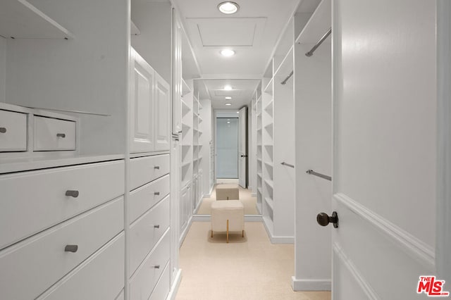 view of walk in closet