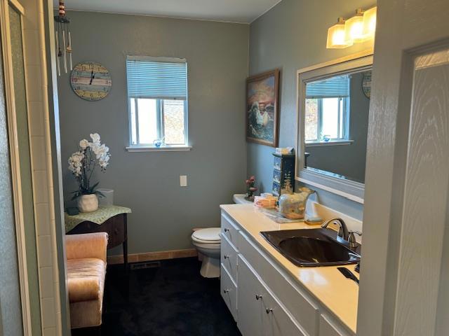 bathroom with vanity, a wealth of natural light, toilet, and walk in shower