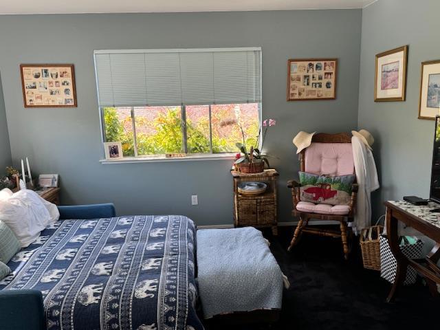 view of carpeted bedroom