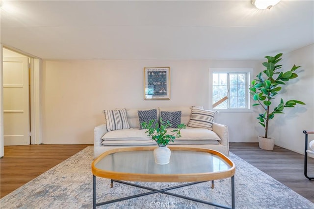 living room with dark hardwood / wood-style floors