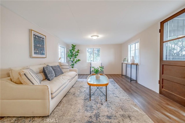 living room with hardwood / wood-style floors