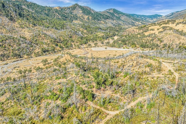 14782 White Rock Canyon Rd, Upper Lake, CA 95485 - photo 8