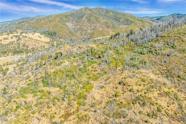 14782 White Rock Canyon Rd, Upper Lake, CA 95485 - photo 6