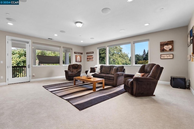 carpeted living room with a wealth of natural light