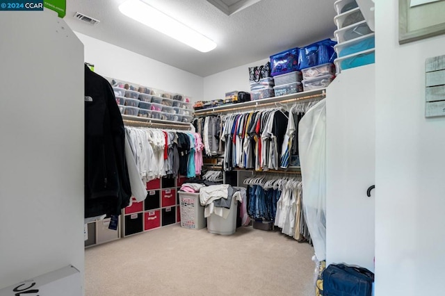 spacious closet with carpet