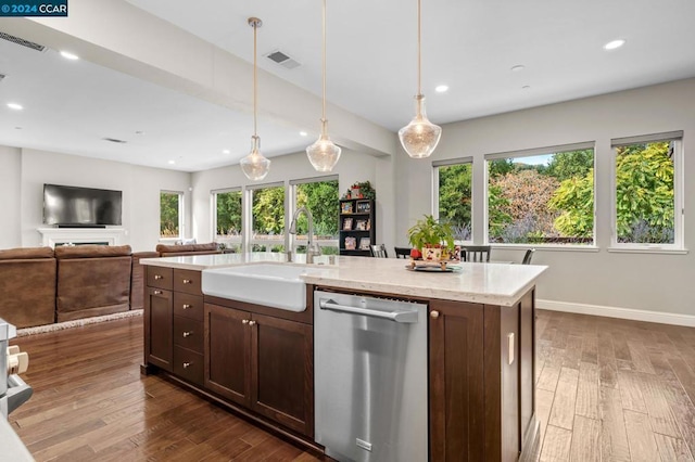 kitchen featuring stainless steel dishwasher, plenty of natural light, sink, and dark wood-type flooring