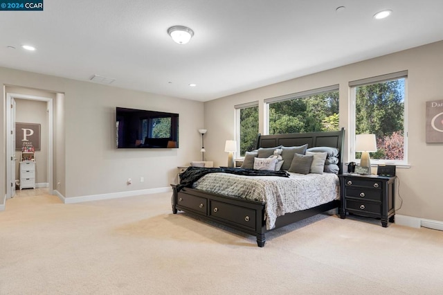 view of carpeted bedroom